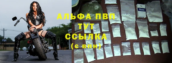 СК Алзамай